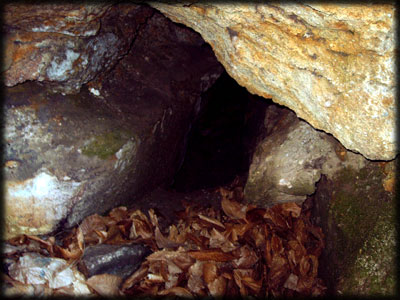 Rennes-Le-Château: Historia, enigmas y descubrimientos Grotto-cave