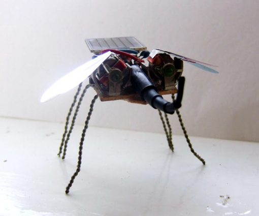 mosca-robot
