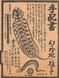 "El Tsuchinoko", El ser Criptido mas buscado en japón  Tsuchinoko