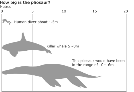 pliosaurios