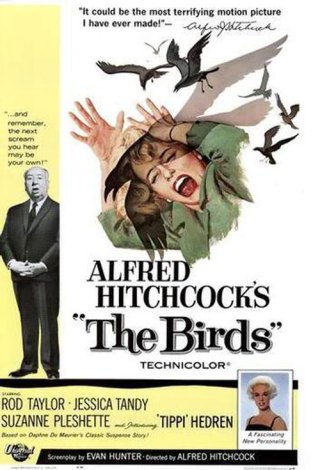 Las 50 mejores películas de terror del siglo XX Thebirds