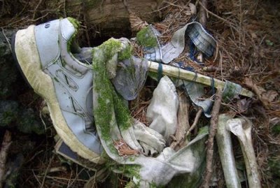 El bosque de Aokigahara, la meca de los suicidas en Japón.[ADVERTENCIA, imagenes fuertes, abstenerse personas sensibles] Aokigahara-471