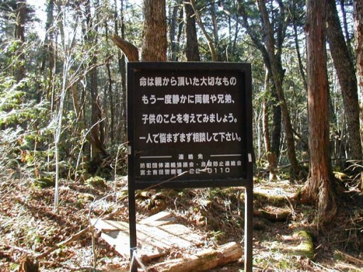 El bosque de Aokigahara, la meca de los suicidas en Japón. Bosque_suicidas_japon