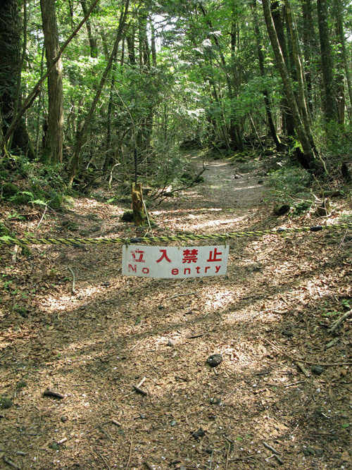 El bosque de Aokigahara, la meca de los suicidas en Japón. Jyukai