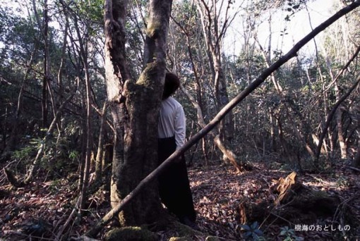 El bosque de Aokigahara, la meca de los suicidas en Japón. Suicidios_japon