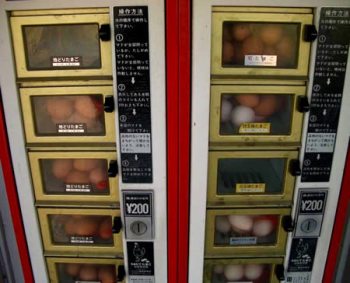 Máquinas expendedoras poco habituales *O* Huevos