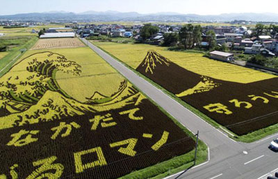 Obras de arte en los arrozales japoneses Arte-en-los-arrozales