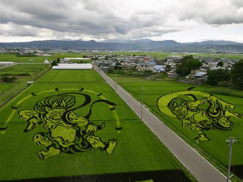 Obras de arte en los arrozales japoneses Japon