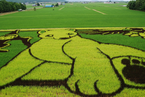 Obras de arte en los arrozales japoneses Rice_art_2010_111