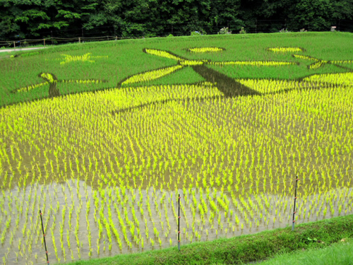 Obras de arte en los arrozales japoneses Rice_art_2010_15