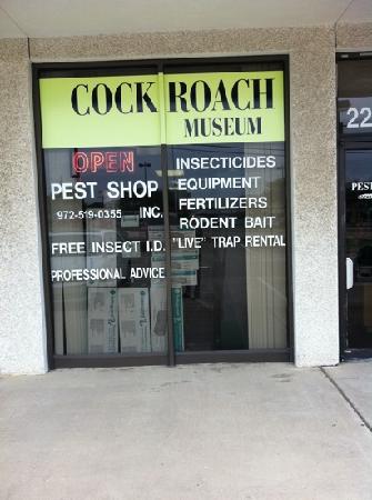 El museo de las cucarachas de Texas Cucarachas