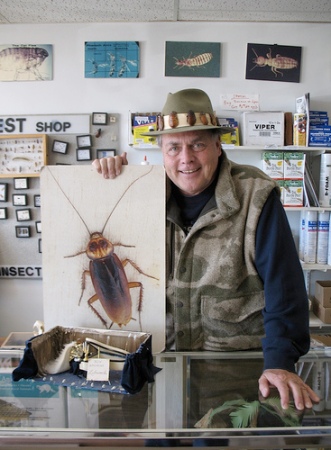 El museo de las cucarachas de Texas Insectos