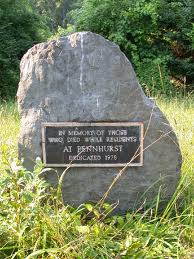 Asilo abandonado de Pennhurst. Cementerio-pennhurst