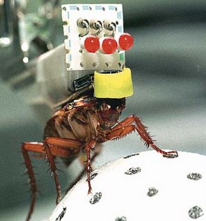 robot-disfrasado-de-cucaracha